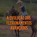 A EVOLUÇÃO DOS FLEXIONAMENTOS AVANÇADOS