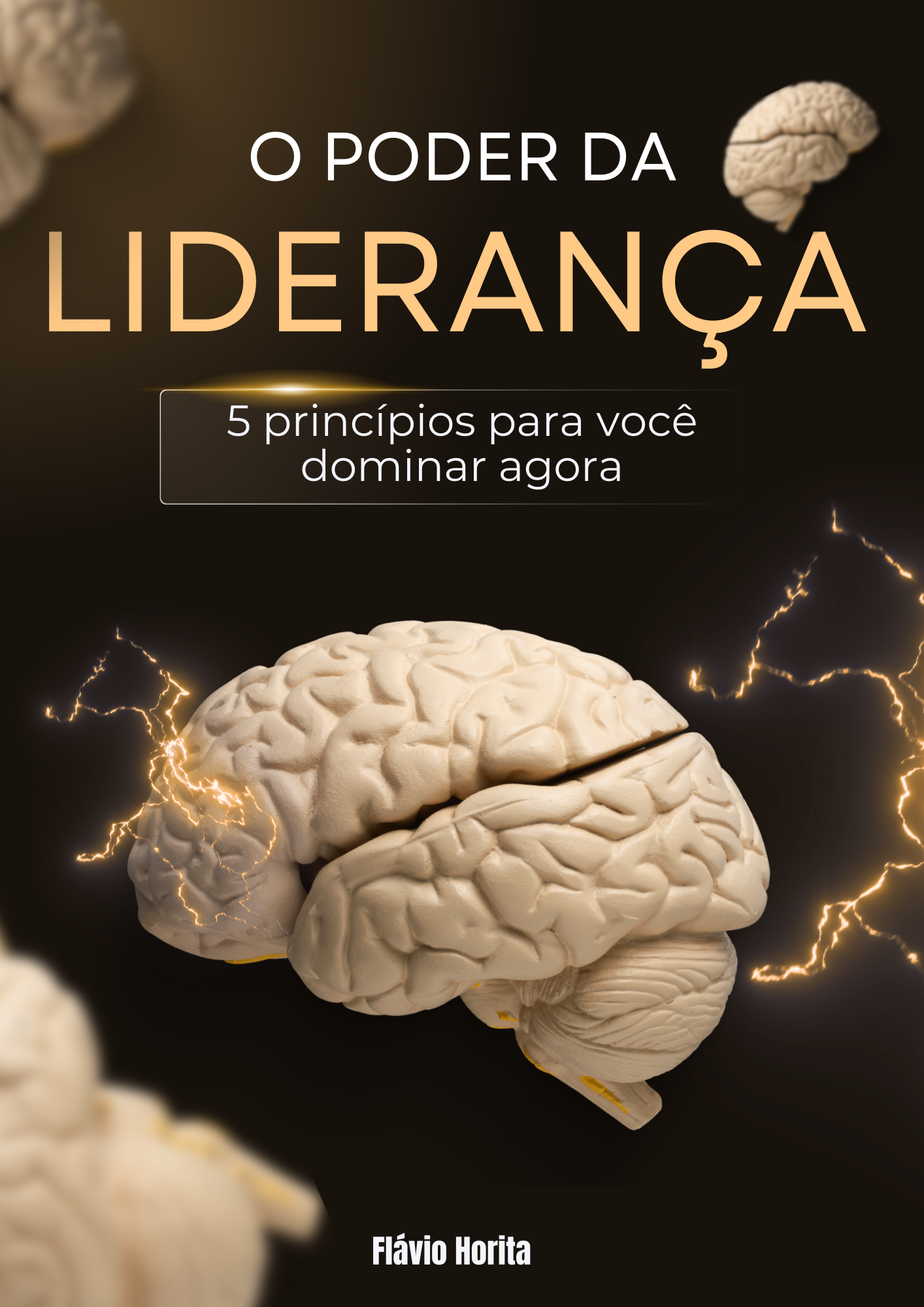Poder da Liderança