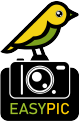 EasyPic para Windows
