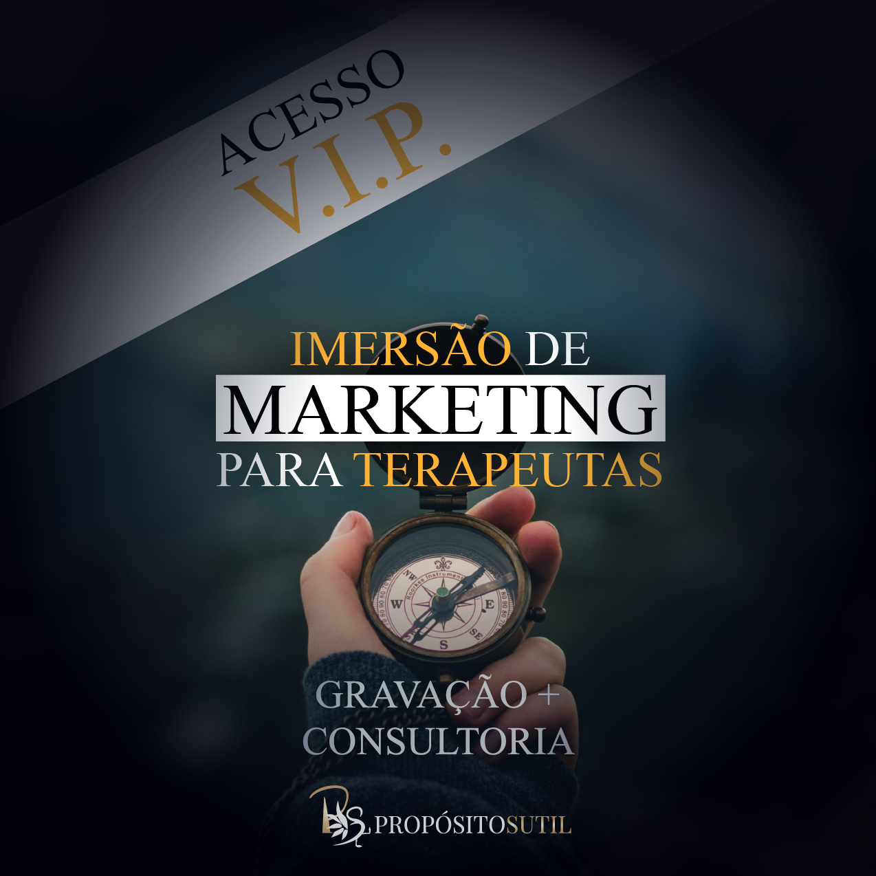 Ingresso VIP Imersão de Marketing para Terapeutas