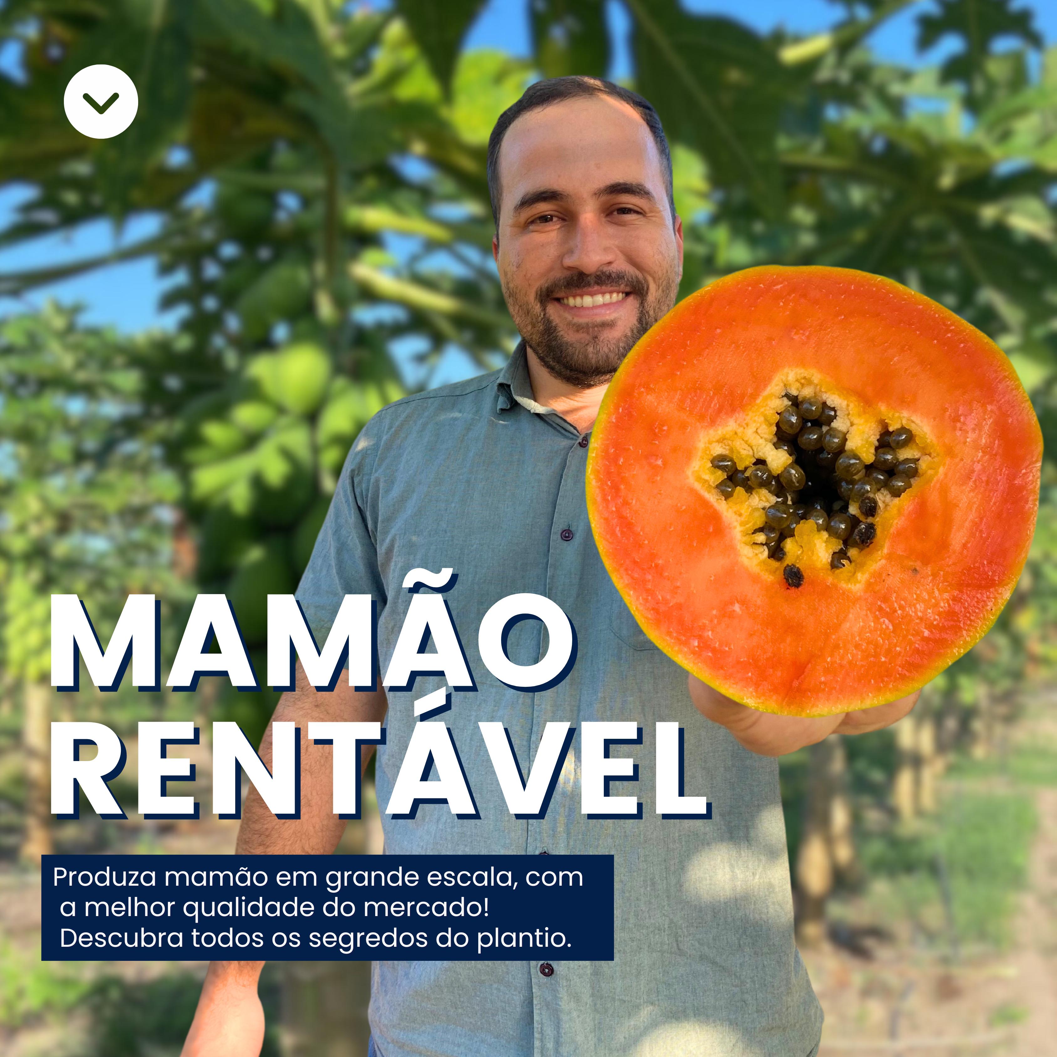 Mamão Rentável 