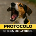 Protocolo Chega de Latidos