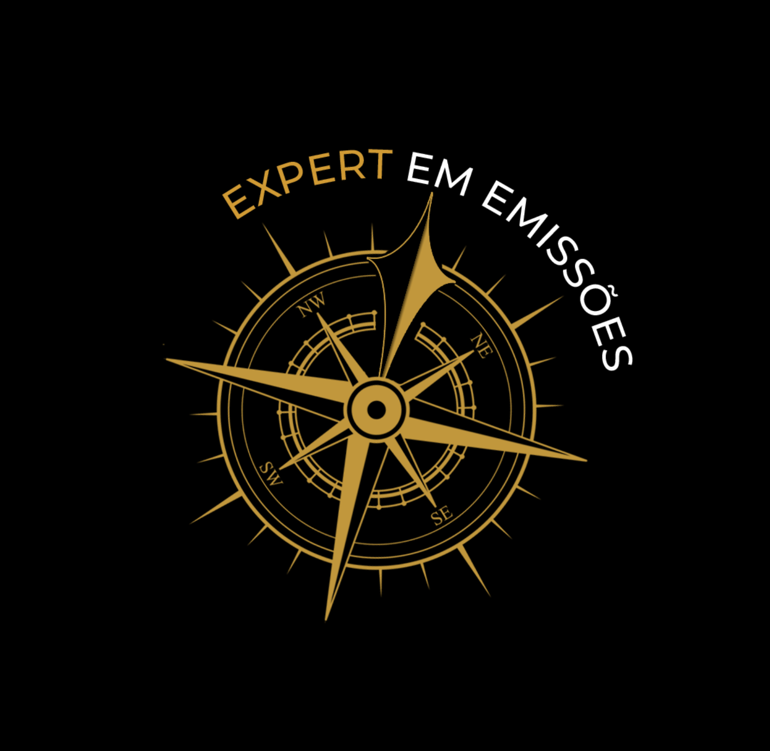 Expert Em Emissões - Plano VIP