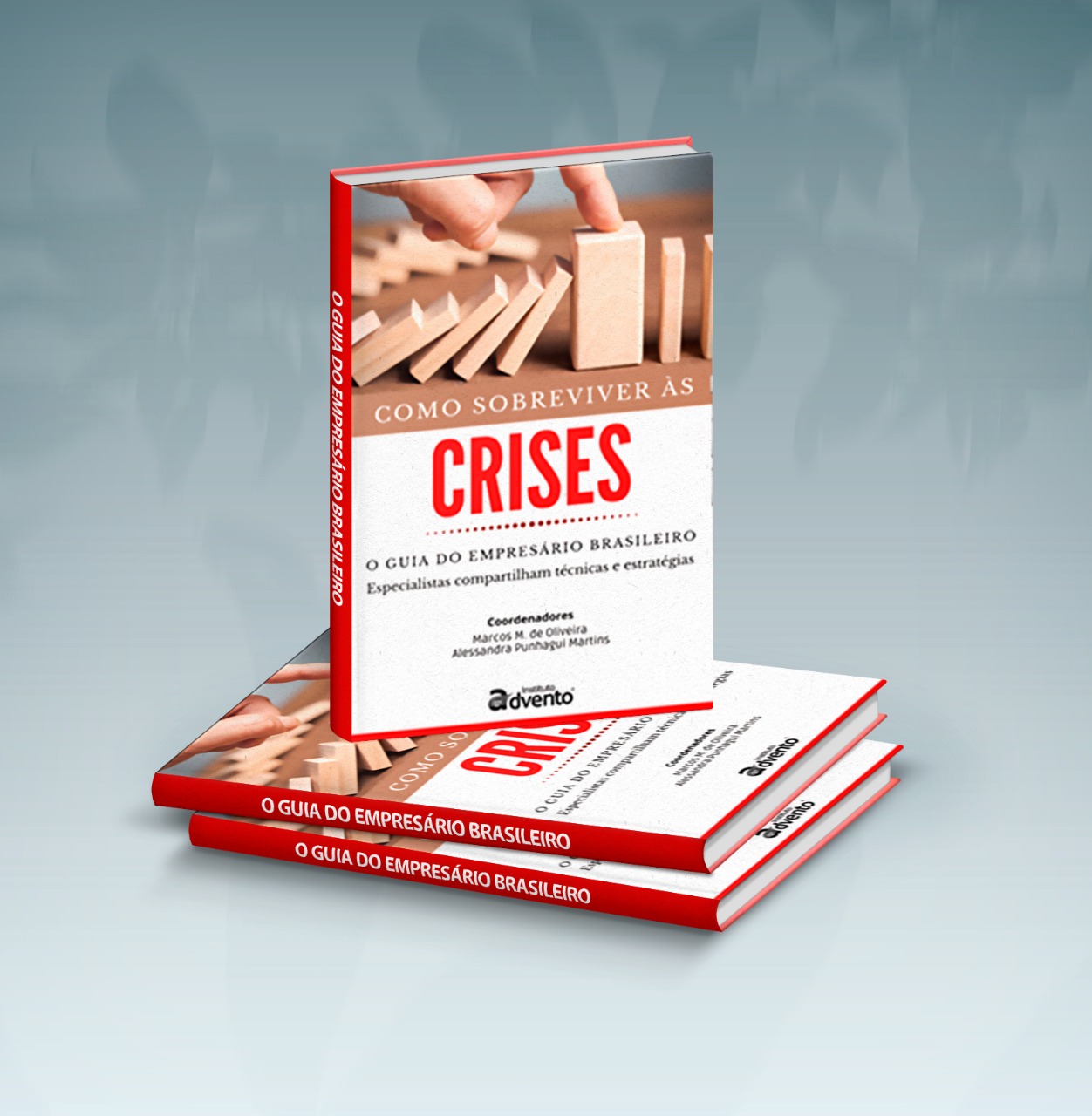 Livro Digital  - COMO SOBREVIVER AS CRISES - O Guia do Empresário Brasileiro