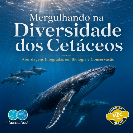 Mergulhando na Diversidade dos Cetáceos: Abordagens Integradas em Biologia e  Conservação