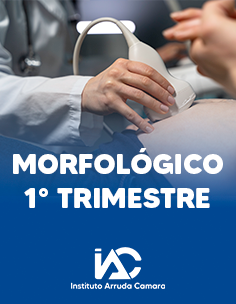 Morfológico 1° Trimestre