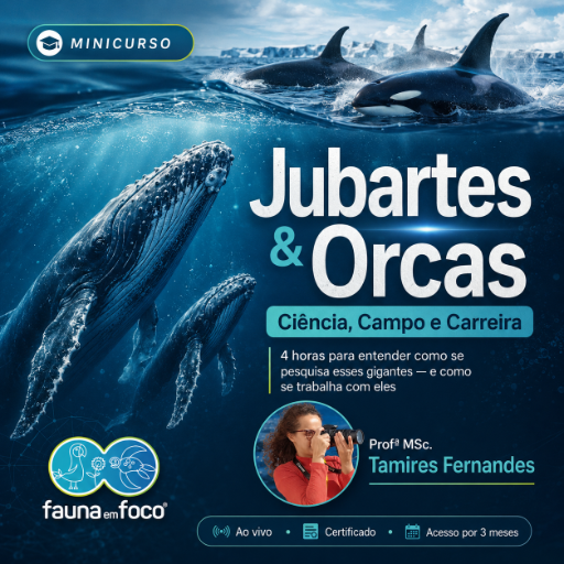 Jubartes & Orcas: Ciência, Campo e Carreira Minicurso: 4 horas para entender como se pesquisa esses gigantes — e como se trabalha com eles  Profa. Tamires Fernandes