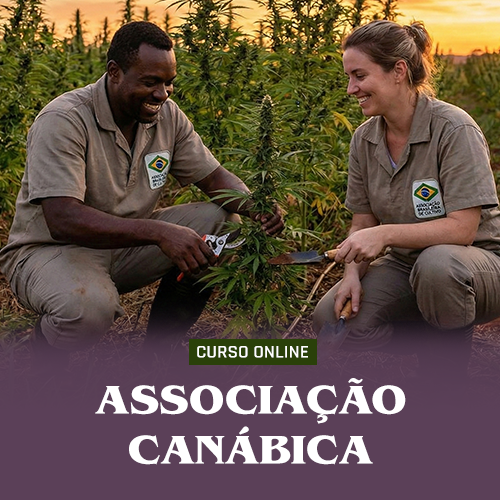🟢 Adequação regulatória para associações canábicas