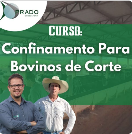 Curso Confinamento 5 Estrelas 2026