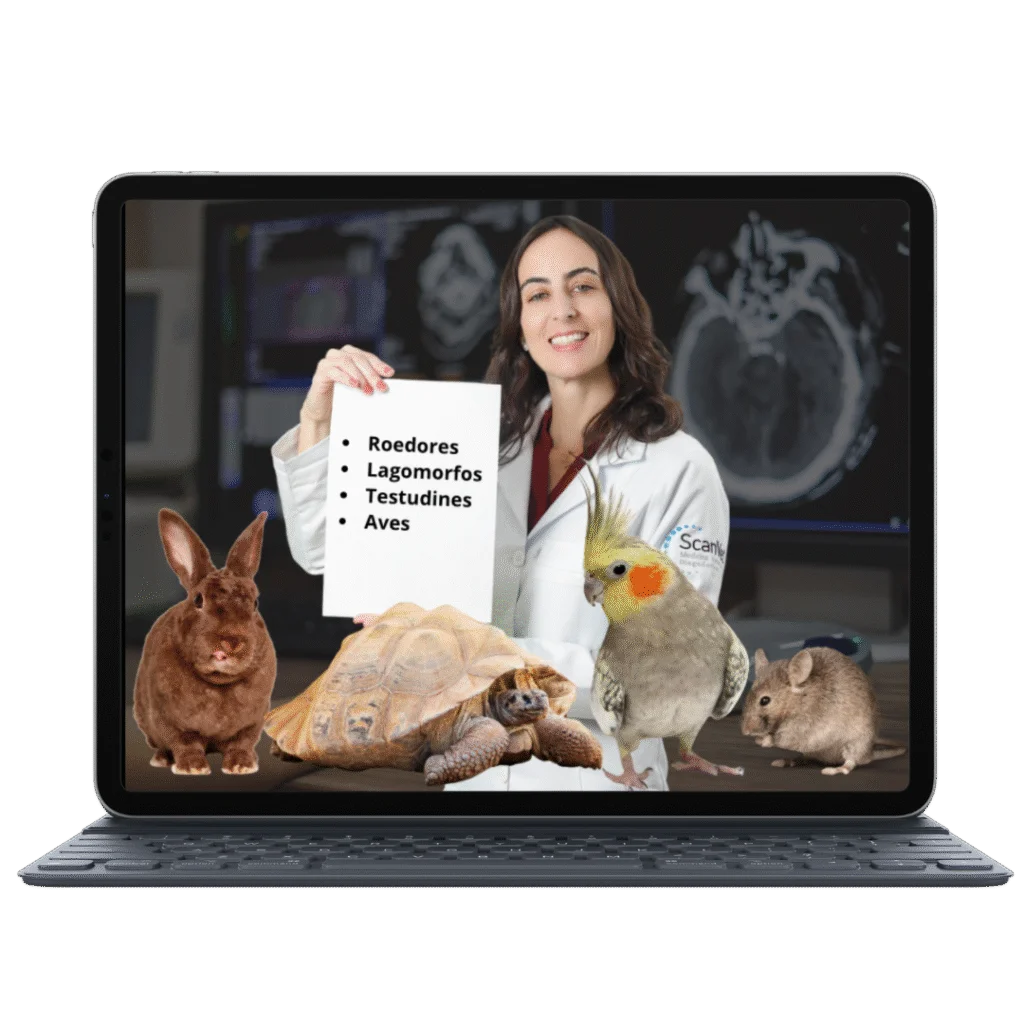 SCANVET Combo Vitalício Diagnóstico em Pets Não Convencionais