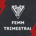 FEMM - Programa de Treinamento