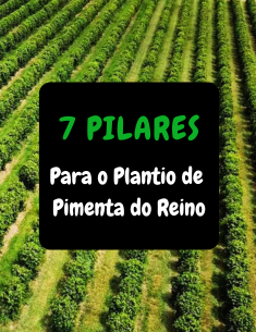7 Pilares para o Plantio de Pimenta do Reino