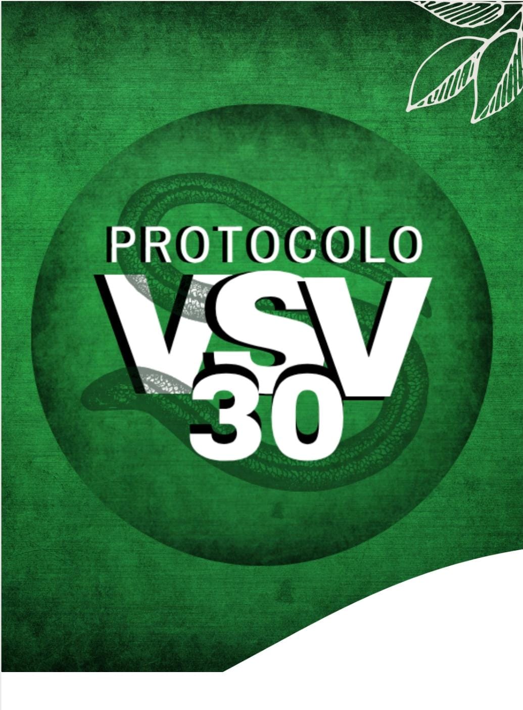 VSV30 | Greenn