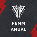 FEMM - Programa de Treinamento