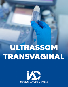 Transvaginal Básico