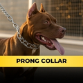 Prong Collar na Prática: Teoria, Correção e Lapidação Comportamental