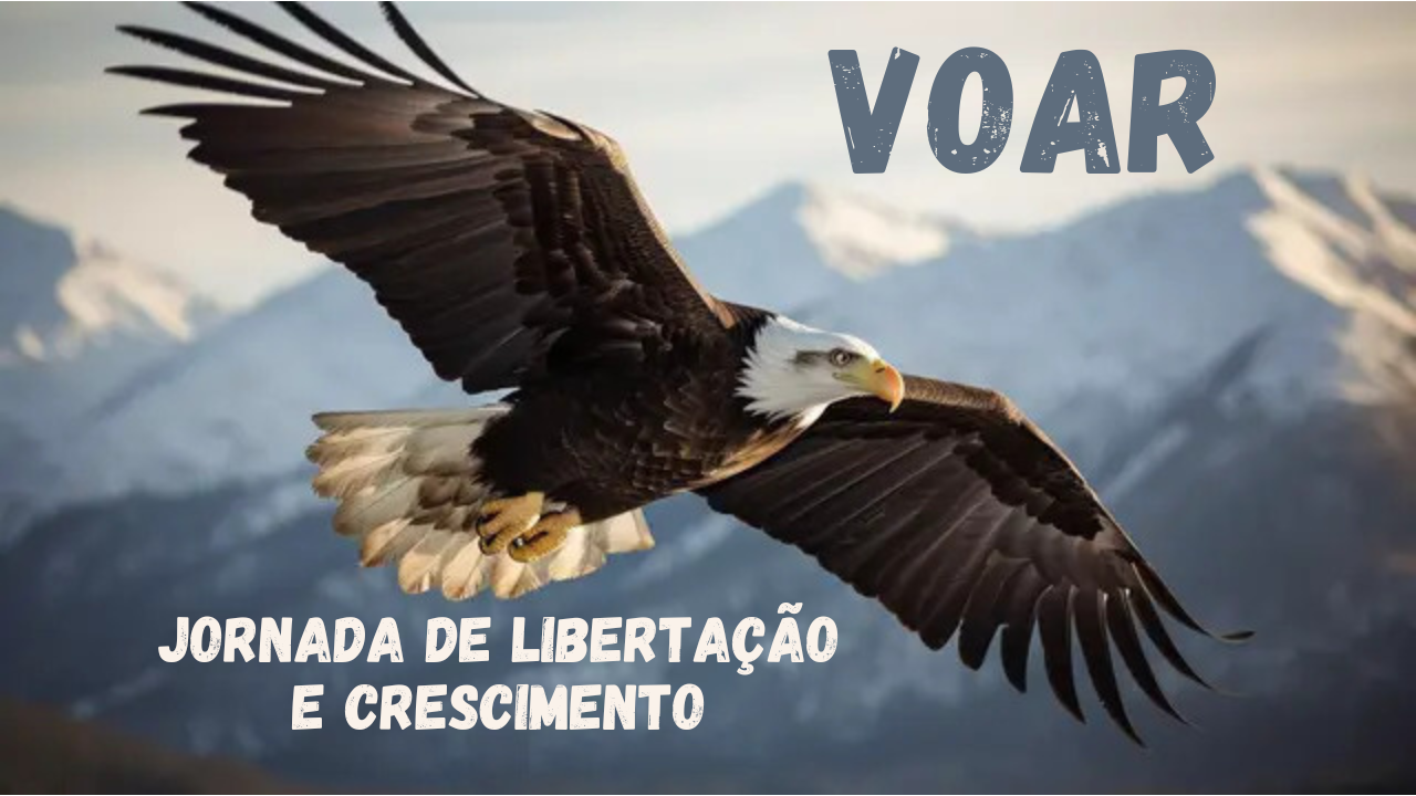 Assinatura anual da Jornada Voar 