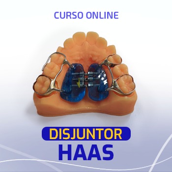 Curso Disjuntor Haas - da teoria à prática