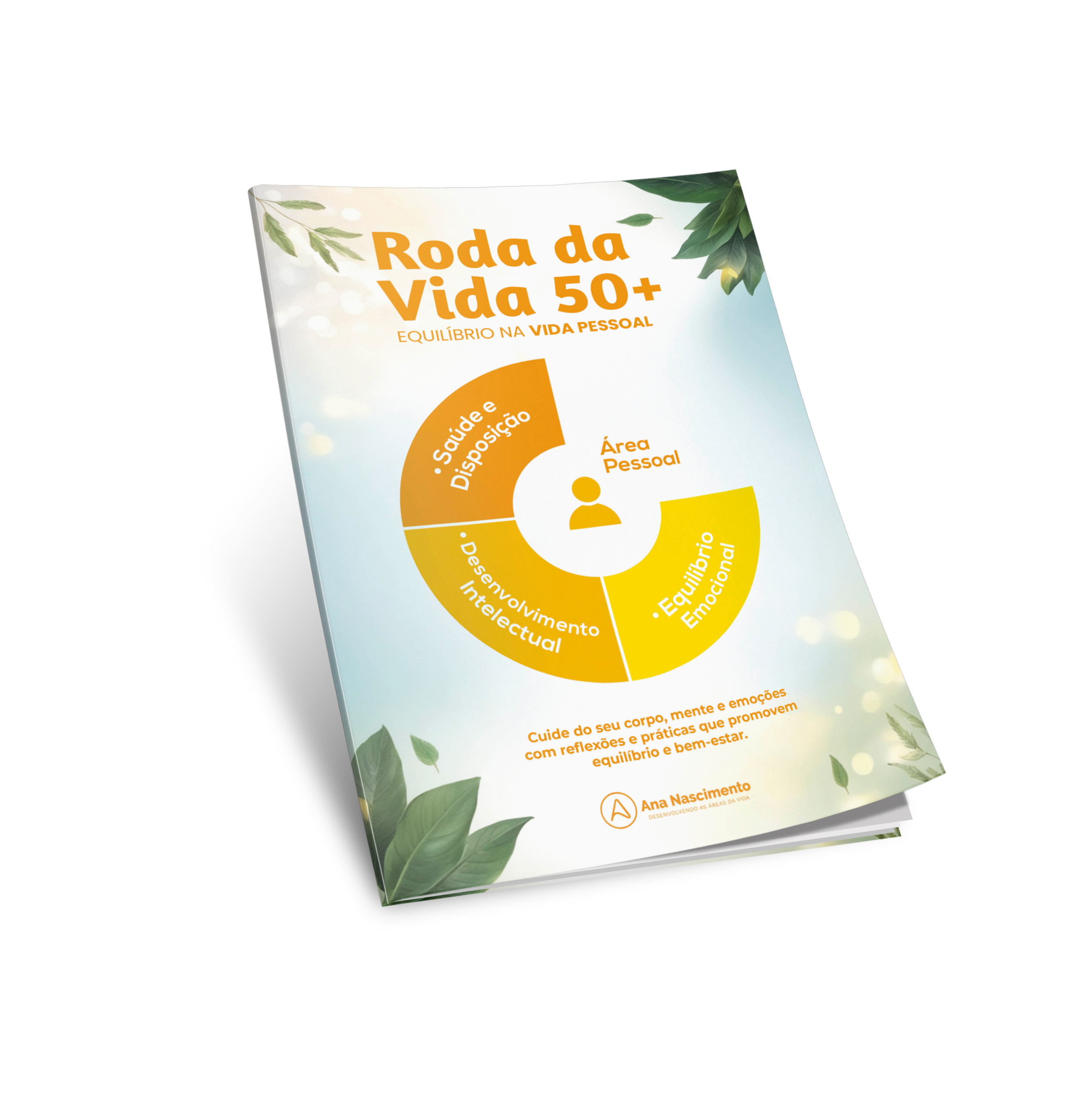Ebook Roda da Vida 50+ | Área Pessoal